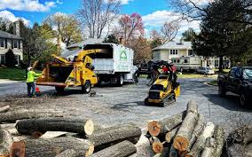 Best Tree and Shrub Care  in Lake Mohawk, NJ